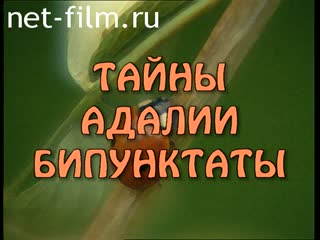 Film Mystery adalie bipunctata. (2001)