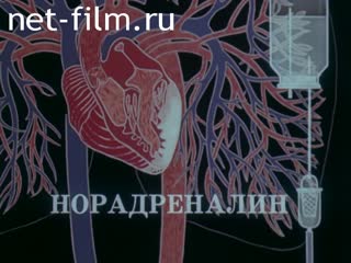 Фильм Неотложная помощь при заболеваниях внутренних органов.. (1984)