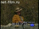 Footage A selection of news about Boris Yeltsin's vacation in Kislovodsk. (1990 - 1999)