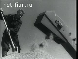 Киножурнал Новости дня / хроника наших дней 1963 № 39