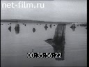 Film The canal named after Stalin. (1992)
