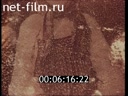 Фильм Вологодские, тамбовские, тверские. (1992)