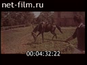 Film The horse and rider. (Centaur). (1978)