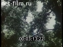 Фильм (И.С.)Тургенев. Стихотворения в прозе.. (1983)