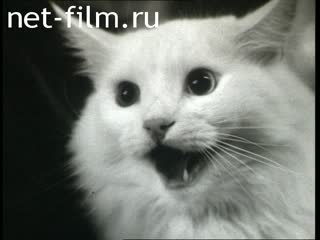 Фильм Бойтесь рыжих с усами. (1987)