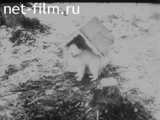 Киножурнал Дойче Вохеншау 1941 № 582