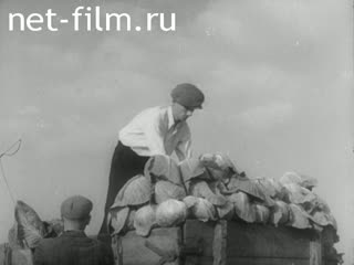 Киножурнал Киноотчет из Генерал-Губернаторства 1941 № 24205