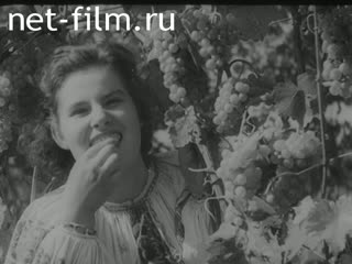 Newsreel Aus Dem Generalgouvernement Filmbericht 1941 № 23999