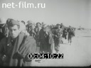 Newsreel Giornale Luce 1941 № 375