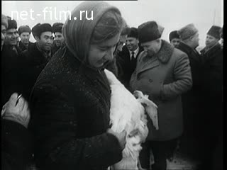Newsreel Daily News / A Chronicle of the day 1961 № 47