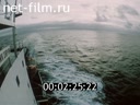 Film The ship's role. (1992)