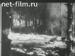 Киножурнал Дойче Вохеншау 1943 № 650