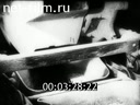 Киножурнал Киноотчет из Генерал-Губернаторства 1941 № 23714