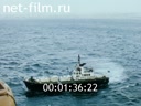 Film Under the Russian flag. (1992)