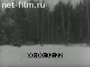Footage Khrushchev N.S. And Fidel Castro on a hunt in Zavidovo. (1964)