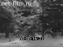 Footage Khrushchev N.S. And Fidel Castro on a hunt in Zavidovo. (1964)