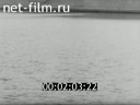Фильм Соотечественники. (1989)