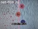 Film Chronic renal failure.. (1979)