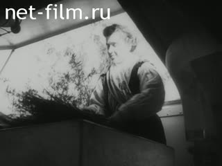 Киножурнал Джорнале Люче 1941 № 198