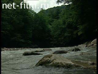 Footage The nature of the Caucasus. (2000 - 2009)