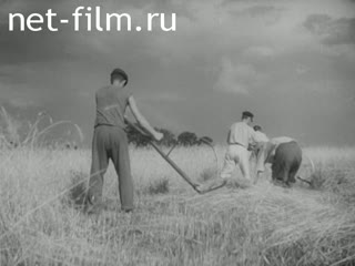 Киножурнал Киноотчет из Генерал-Губернаторства 1941 № 20538