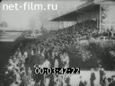 Киножурнал Киноотчет из Генерал-Губернаторства 1940 № 24053