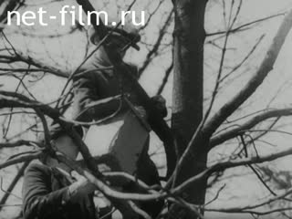 Киножурнал Киноотчет из Генерал-Губернаторства 1944 № 24506