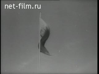 Киножурнал Советский спорт 1956 № 9