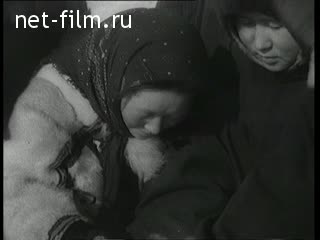 Киножурнал Новости дня / хроника наших дней 1955 № 21