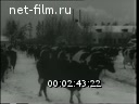 Newsreel Daily News / A Chronicle of the day 1954 № 3