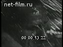 Film Aristocrat USSR.. (2007)