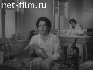 Newsreel Science and technology 1962 № 10