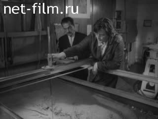 Newsreel Science and technology 1968 № 16