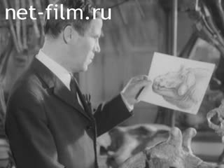 Newsreel Science and technology 1973 № 14