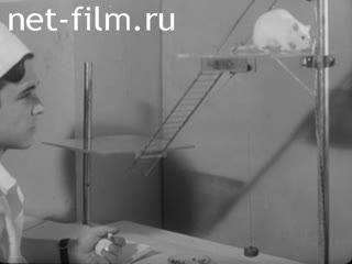 Newsreel Science and technology 1972 № 17