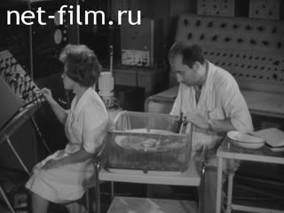 Newsreel Science and technology 1964 № 19