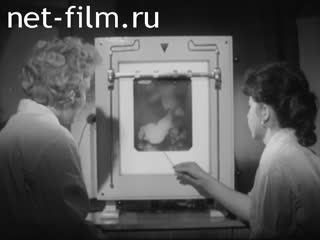 Newsreel Science and technology 1968 № 21