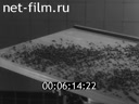 Newsreel Science and technology 1969 № 16