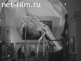 Newsreel Science and technology 1967 № 14