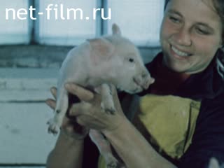 Фильм …И подсобное хозяйство. (1979)