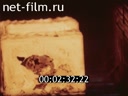 Film The Communists Of The Northern Magnitka. (1985)