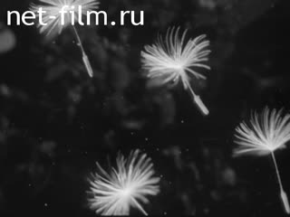 Newsreel Science and technology 1966 № 24