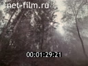 Film Science – forestry production. (1979)