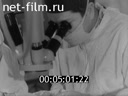 Newsreel Science and technology 1972 № 6