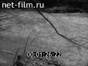 Newsreel Science and technology 1963 № 11
