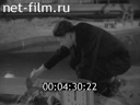 Newsreel Science and technology 1964 № 11