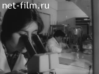 Newsreel Science and technology 1982 № 21