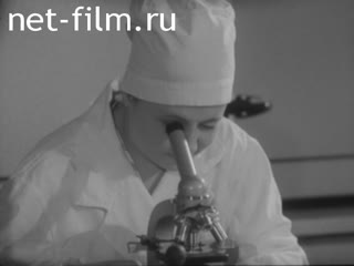 Newsreel Science and technology 1965 № 4