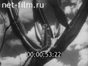 Newsreel Science and technology 1965 № 10
