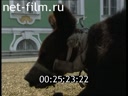 Footage St. Petersburg. (2003)